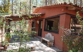 Cabañas tapalpa Sierra del Tecuan, Cabaña Tejón
